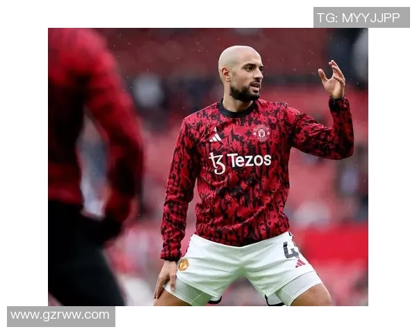 国家足球明星的崛起与发展现状分析及未来展望