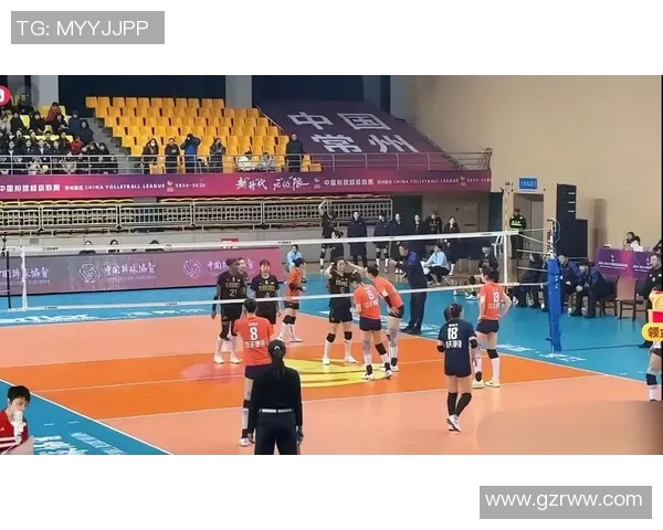 江苏女排与辽宁女排激战12轮精彩对决全场回顾与赛后分析 江苏女排与辽宁女排激战12轮精彩对决全场回顾与赛后分析