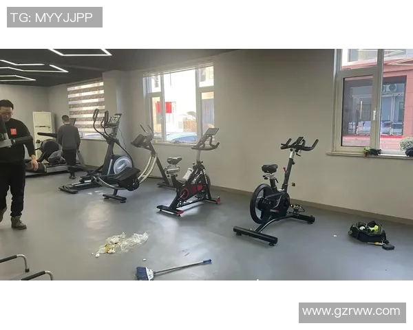 专业体育健身器材专卖店为您提供全方位健身解决方案助力健康生活