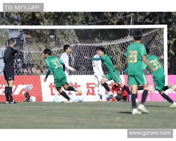 挪威足球赛事全景解析：从顶级联赛到青少年培养的全面探讨